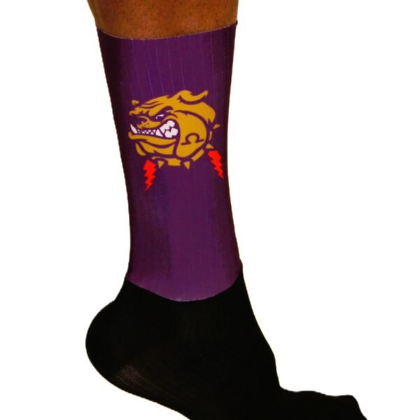 elite royal purple cycling socks